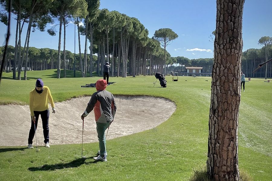 Regnum Carya